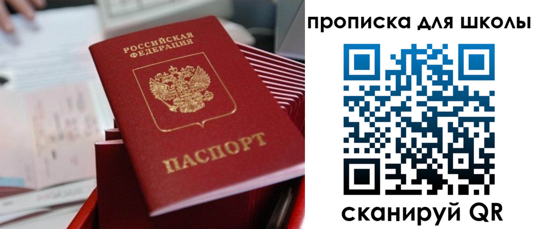 прописка для школы в Осинниках